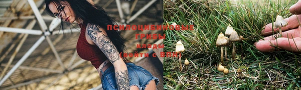 синтетический гашиш Зерноград